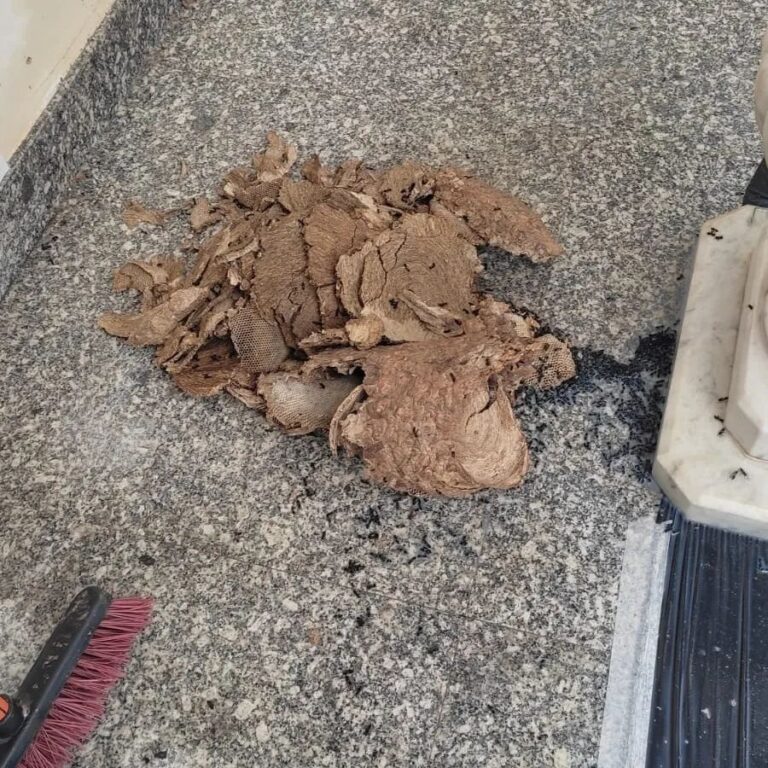 Martins_Dedetizadora_descupinizacao_zona_leste_de_SP