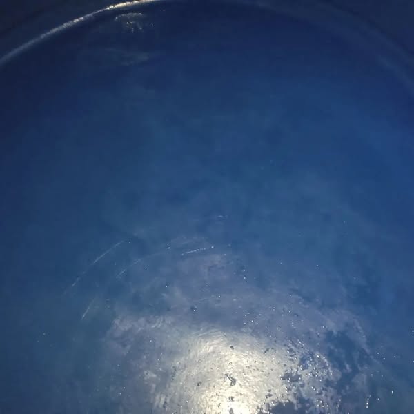 Martins_Dedetizadora_limpeza_desinfeccao_caixa_dagua_2_24h_na_zona_leste_SP