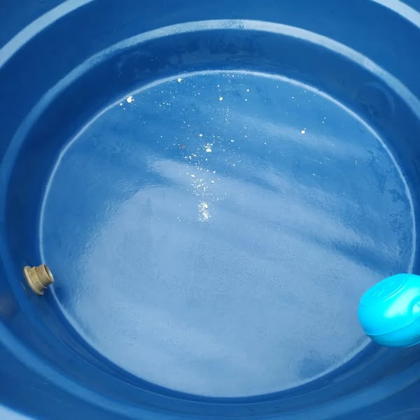 Martins_Dedetizadora_limpeza_desinfeccao_caixa_dagua_2_zona_leste_SP