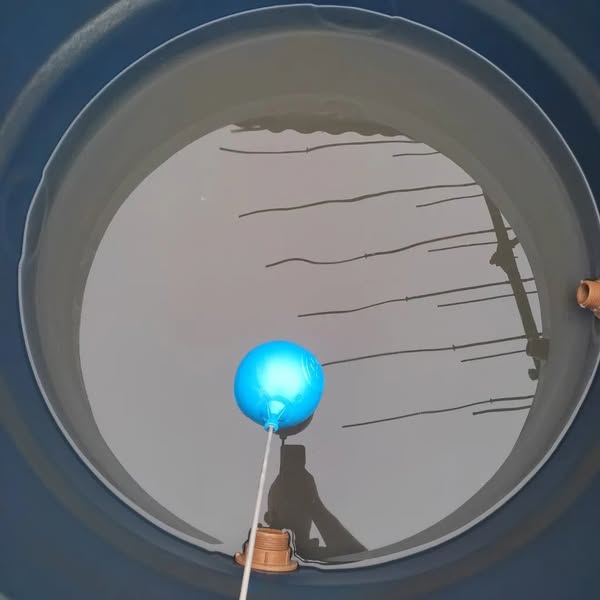 Martins_Dedetizadora_limpeza_desinfeccao_caixa_dagua_na_zona_leste_SP